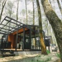 3 Rekomendasi Glamping di Bandung dengan Suasana Hutan Pinus Dekat Tangkuban Perahu