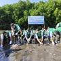 BAF Lanjutkan Gerakan Hijau, 20 Ribu Mangrove Ditanam di Jawa Tengah