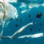 Mikroplastik Tembus Lautan Dalam, Keseimbangan Ekosistem Laut Terganggu