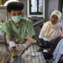 Klinik Hewan Keliling DKI Resmi Beroperasi, Warga Bisa Akses Layanan Mulai Rp35 Ribu