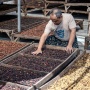 Permintaan Meledak, China Borong 8 Kontainer Kopi Premium Indonesia