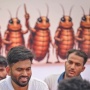 Gen Z dari Partai Rakyat Kecoa Demo Besar, Capek Susah Cari Kerja, Frustasi dengan Pemerintah India