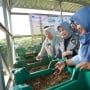 Sampah Organik di Kota Depok Masih Menumpuk, Bisakah Maggot Menjadi Solusi?