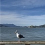 Cara Maksimalkan AI Kamera Samsung Galaxy S26, Hasilkan Foto Malam dan Video Jernih dengan Mudah