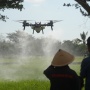 Lawan Hama Wereng, Petani Boyolali Andalkan Teknologi Drone