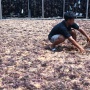Cuaca Tak Menentu Jadi Momok Petani Rumput Laut Nunukan