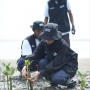 Peringati Hari Mangrove Sedunia, BRI Peduli Tanam 24.000 Pohon di Pesisir Karawang