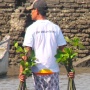 Hari Mangrove Sedunia, BNI Perkuat Aksi Hijau di Pesisir