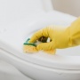 Berhenti Menggosok Dudukan Toilet Umum dengan Tisu, Ini Cara Membersihkan yang Benar