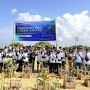 PNM Hadirkan Dampak Berantai Bagi Lingkungan dan Ekonomi Pesisir di Hari Mangrove Sedunia