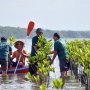 Jaga Ekosistem Pesisir, BSN Monitoring Ribuan Bibit Mangrove di Bali
