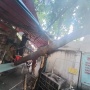Pohon Besar Tiba-tiba Ambruk di Lokasi Kerusuhan Matraman, Timpa Tenda Pedagang