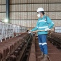 Profil Harita Nickel (NCKL): Pemilik, Kinerja Perusahaan dan Saham