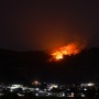 Kobaran Api Kepung Hutan Gunung Jati
