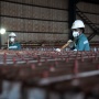 Pendapatan Harita Nickel (NCKL) Naik 21,2 Persen di Semester I 2026
