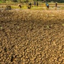 Kemarau Lumpuhkan 329 Telaga Air di Gunungkidul