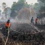 Karhutla Hanguskan 40 Hektare Lahan di Palangka Raya