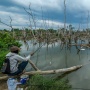 52 Ribu Hektare Mangrove Rusak Tiap Tahun, Kondisinya Kian Mengkhawatirkan