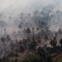 Karhutla di Kalimantan Kembali Meluas, Greenpeace Desak Pencegahan Diperkuat
