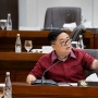 Komisi VI: Tantangan Kopdes Merah Putih Kini Bukan Sosialisasi, tetapi Kepercayaan Publik