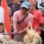 Listrik Padam, Peternak Ayam Rugi Ratusan Juta, Kantor PLN Palangka Raya Disegel