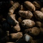 Mengenal 7 Jenis Umbi-umbian Lokal, Ada Kimpul yang Kaya Nutrisi dan Bisa Jadi Pengganti Nasi