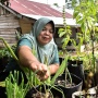17 Tahun Menunggu, Transmigran di Kerinci Masih Hidup Tanpa Listrik