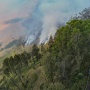 Bromo Dilanda Kebakaran Hutan, Akses Jemplang hingga Senduro Ditutup