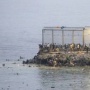 Menakar Skenario Gila: Bisakah WNI Tiru Warga Maroko yang Kabur Lewat Laut?