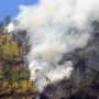 Api Masih Berkobar di Bromo, Jalur Wisata Ditutup Sementara