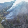 Kebakaran Bromo Meluas, 520 Hektare Taman Nasional Hangus