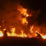 4 Orang Tewas Terjebak Karhutla Bromo, Dua Korban Luka Bakar Jalani Operasi