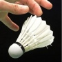 Saat Kepercayaan Badminton Lovers Diuji: Ada Apa dengan Bulutangkis Indonesia?