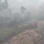 Karhutla Picu Kabut Asap, Kualitas Udara Sumsel Masuk Tahap Peringatan