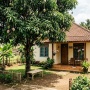 Feng Shui Pohon Mangga di Depan Rumah, Bawa Hoki atau Malah Sial?