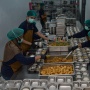 Anggaran MBG di RABPN 2027 Sejumlah Rp240 Triliun