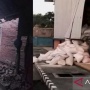 Gempa Bumi NTT di Mbay Robohkan Tembok Rumah dan Rusak Pelabuhan Maumere