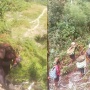 Ketakutan Diserbu TNI, Warga 4 Kampung di Intan Jaya Terpaksa Mengungsi ke Hutan