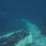Heboh Video Viral Keretakan di Bawah Laut Pulau Komodo Efek Gempa NTT, Benarkah?