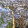 Jejak Tebangan Kayu Hangus Terbakar Ditemukan di Lokasi Karhutla Jambi