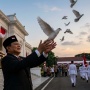 Burung Merpati di Langit Istana Telan Anggaran Rp305 Juta, Ini Rinciannya