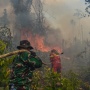 Kabut Asap Karhutla Kalimantan Ganggu Negara Tetangga, Mensesneg Bilang Begini