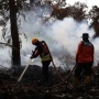 Singapura Siap-siap Jadi Korban Kebakaran Hutan Kalimantan - Sumatera, Pemerintahnya Lakukan Ini