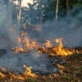 Lahan Kosong 5.000 Meter Persegi di Tallasa City Makassar Terbakar, Damkarmat Pastikan Tak Meluas