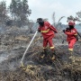 3 Hari Dilanda Karhutla, Lahan Gambut Tanjab Timur Terus Diburu Api