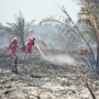 42 Perusahaan Masuk Radar KLH, Sanksi Berat Menanti Jika Terbukti Bakar Hutan
