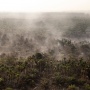 Karhutla 2026: Nusa Tenggara Timur Catat Area Terbakar Terluas, Lampaui Kalimantan