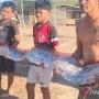 Ikan Kiamat Muncul di Lombok Usai Gempa NTT, Pakar Singgung Dampak Perubahan Iklim