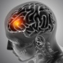 Hati-Hati! 5 Kebiasaan Kecil ini Bisa Bikin Kamu Mengalami Brain Rot