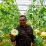 Hortikultura Daerah Naik Kelas, Melon Petani Asal Blitar Tembus Pasar Singapura